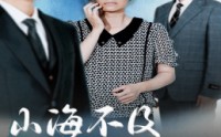 《山海不及她的爱（71集）》高清短剧全集在线看