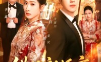 《错位新婚夜（68集）》爆款短剧全集在线追
