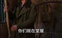 《回到88，带着老板娘发家致富（65集）》短剧全集无广告在线看
