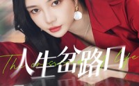 《人生岔路口（30集）》完整短剧剧情在线追更