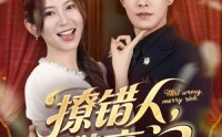 《撩错人攀高门（73集）》免费短剧无删减在线播