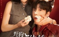 《野狗装乖！拿捏纨绔太子爷（80集）》短剧全集免费追看