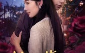《午夜花店（40集）》免费短剧高清全集点播