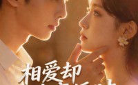 《相爱却在离婚时（61集）》免费短剧全集在线速看