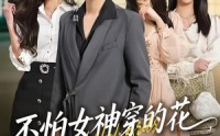 《不怕女神穿的花，就怕总裁二十八（81集）》爆款短剧全集免费看