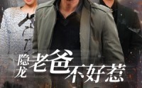 《隐龙老爸不好惹（82集）》热门短剧话题不断更新中
