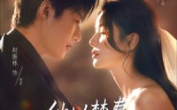 《他以焚春吻长夏（61集）》免费短剧全集高清观看