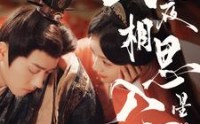 《长夜相思入星河（90集）》极致短剧在线欣赏