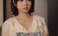 《梅花印记（48集）》震撼短剧剧情全揭秘