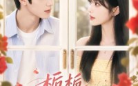《栀栀落晚津（40集）》热门短剧全集在线速看