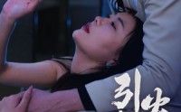 《引火烧身（82集）》爆款短剧全集一次看过瘾