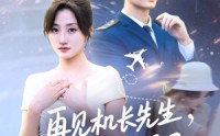 《再见机长先生我要结婚了&再见机长先生，我要结婚了（56集）》精彩短剧免费一键观看