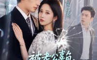 《被老公辜负，我转身改嫁搞事业（78集）》热门短剧完整版在线看