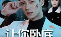 《让你卧底，你怎么还卧成大哥了（80集）》优质短剧在线免费欣赏