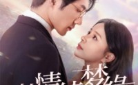 《沉沦（69集）》完整短剧剧情一次看过瘾