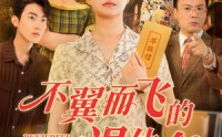 《不翼而飞的退休金（63集）》短剧全集免费高清享