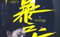 《风暴之后（80集）》热门短剧全集免费欣赏