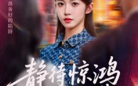 《静待惊鸿入翁慌（40集）》精彩短剧在线完整播放