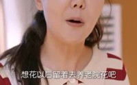 《退休后霸道总裁爱上我（72集）》甜宠短剧全集一次看