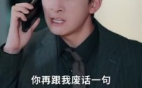 《顾盼生兮》（81集）极致短剧免费观看