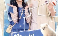 《穿成假冒失忆大佬女友的恶毒女配：心动篇（69集）》高分短剧在线完整播放