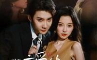 《我亲爱的闻总监（64）》精彩短剧全剧免费观赏