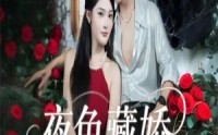 《夜色藏娇（65集）》精彩短剧在线免费追看