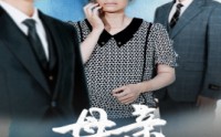 《母亲的荣耀（71集）》高分短剧全集任意看