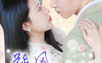 《朔风有解意（70集）》情感短剧全集任你追
