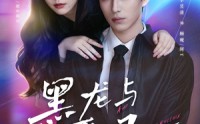 《黑龙与恶凤（61集）》优质短剧免费在线点播