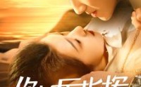 《你好厉指挥（100集）》高清短剧全集畅享