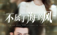 《不属于海的风（40集）》高清短剧在线流畅播放