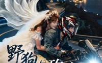 《野狗与玫瑰（30集）》短剧全集在线免费看