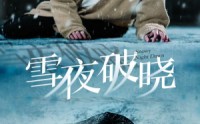 《雪夜破晓（36集）》全集短剧无广告观看
