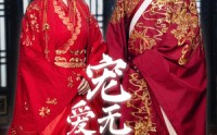 《宠爱无疆之嫡公主的锦绣荣华（71集）》尊享短剧高清畅享