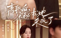 《离职后，宋秘书她杀疯了（71集）》爆款短剧全集一次看过瘾