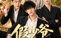 《假少爷回村了（57集）》高人气短剧在线免费赏