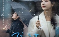 《陪你荡入爱河（66集）》新锐短剧免费在线速观看