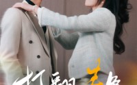 《打翻春色（99集）》热门短剧免费观看全集