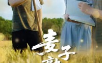 《麦子熟了（52集）》热门短剧免费高清观看