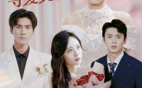 《错缘之悔寻爱无归（51集）》全集短剧在线观看无广告