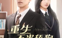 《重生不当舔狗（67集）》热门短剧完整版在线播