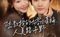 《陆教授的九零小青梅，人美路子野（80集）》热门短剧免费在线畅览