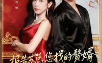 《报告苏总，您找的赞婿是龙神殿主（72集）》经典短剧全集在线观