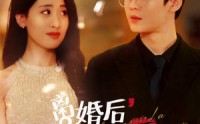 《离婚后，她当场闪婚亿万富翁（71集）》剧情短剧全集追踪