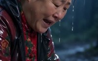 《东北虎王是个磕巴（34集）》高分短剧在线免费全集看