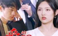 《爱的三重奏（71集）》热门短剧全集在线享