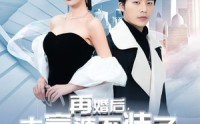 《再婚后，本富婆不装了（88集）》豪门短剧全集畅享