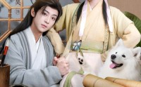 《家有旺夫小福妻（93集）》好看短剧在线无广告看