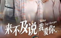 《来不及说我爱你（66集）》高清短剧全集在线观看